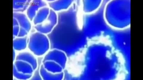 Cellule del sangue al microscopio in campo oscuro dopo il siero sperimentale 2020