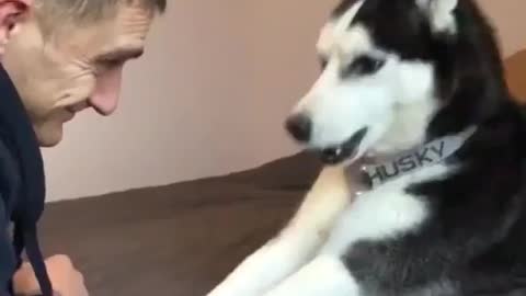 a talking dog is amazing