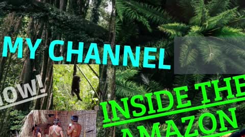 INSIDE THE AMAZON #SHORTS (2)