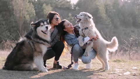 Women Holding Their Dogs / Cute Animals