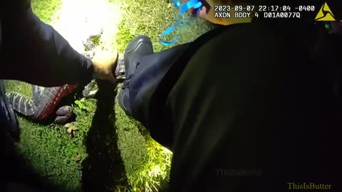 Body cam footage shows moment missing alligator is captured in New Jersey