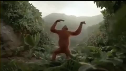 Monkey dancing in the jungle