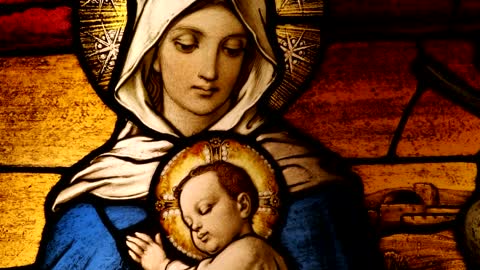 Feast of the Immaculate Conception (12/8/16)