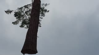 Redwood 5000 lb overhead