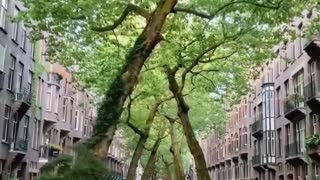 Viral Travel Video Amsterdam