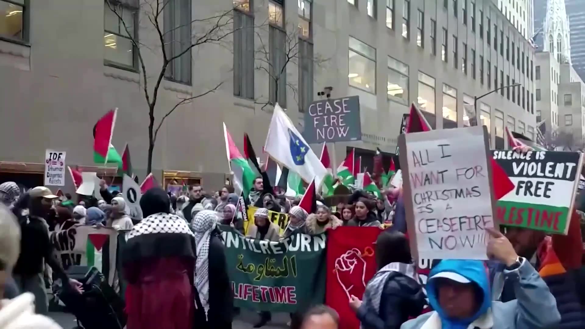 Pro-Palestinian protesters and New York police scuffle