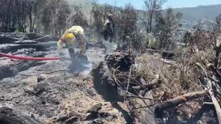 Vegetation fire on slopes of Table Mountain extinguished