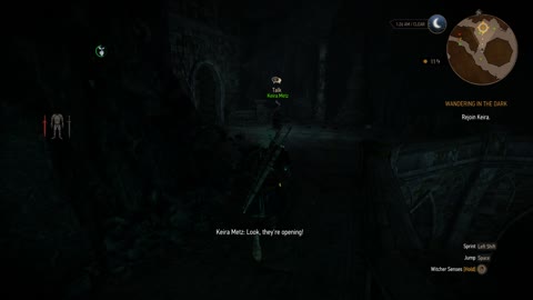 Witcher 3 - Wandering in the Dark Kelpie Symbol to open path