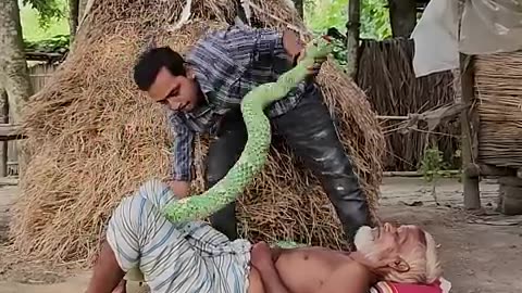 King kobra snake prank funny video