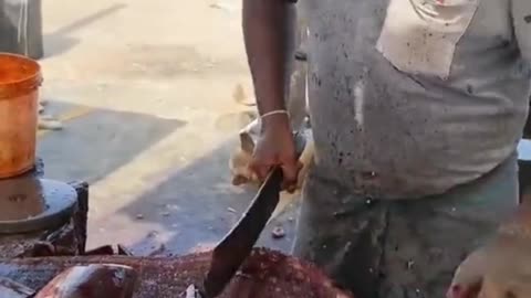 Fish Cutting Amazing Skills