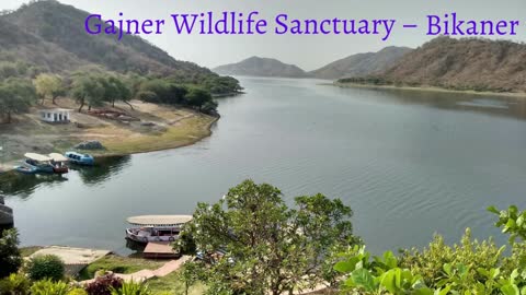 12 BEST WILDLIFE SANCTUARIES IN RAJASTHAN