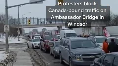 Truckers Continue to Protest Blocks Interstate from Canada to Detroit
