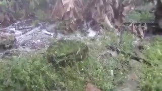 Video: Fuerte granizada sorprendió a habitantes de Oiba este jueves