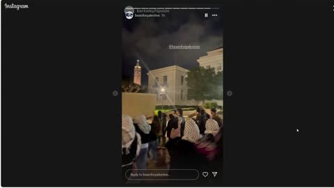 UC Berkeley Bears for Palestine February 26 protest Instagram posts