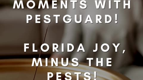 Celebrate Pest-Free Moments with Pestguard! 🎊