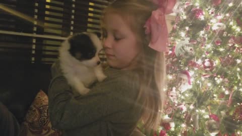 Little girl gets new puppy surprise for Christmas