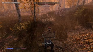 Skyrim Ultimate Survival Legendary Mage build