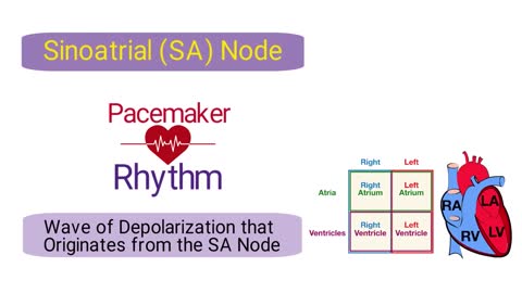 What is an Electrocardiogram? (EKG/ECG) *SIMPLE Explanation*