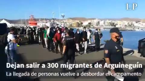 Invasión en Canarias sueltan a 200 por las calles
