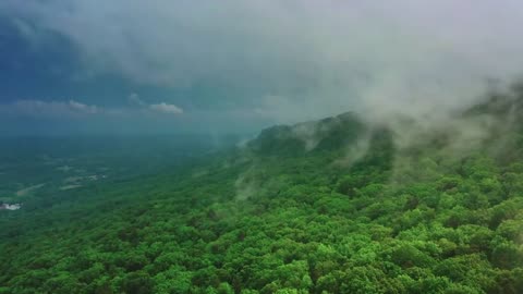 Epic Drone Footage of Pristine Nature Forest | 4K Stock Videos" || Free Copyright