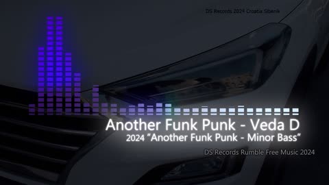 Another Funk Punk - Veda D