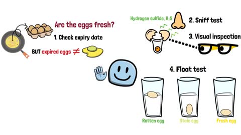 [Quick guide] How do you tell if an egg is fresh?
