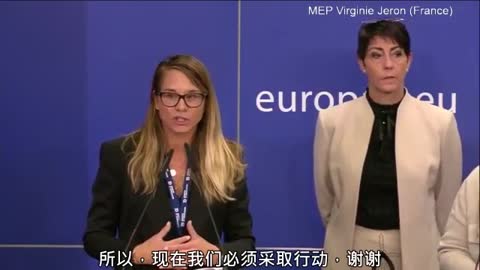 MEP Virginie Jeron (France) (法国) 的重要讲话