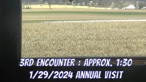 3rd Encounter Snow Geese 1:30pm 1/29/2024
