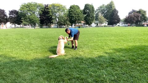 Dominick Jasmin en vacances avec son chien obéissant comme les humains au Québec