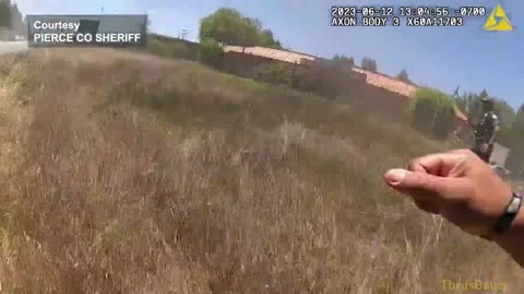 Bodycam video shows woman rescued from burning car that was stolen at gunpoint in Pierce County