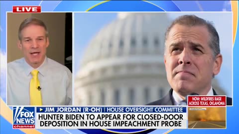 Jim Jordan on how none of Hunter Biden’s business deals came to fruition until his daddy stepped in.