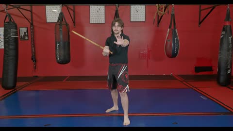 Kali / Filipino Martial Arts - 12 Defenses