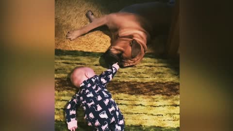 See how the dog is playing with the baby😊😊