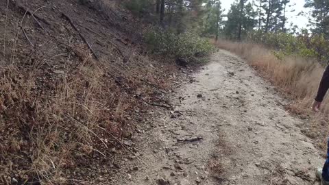 Upper Dry Creek Trail