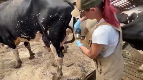 Big Milking Compilation | Attractive Girls On The Dairy Farm | Future Technologies #2023 #1