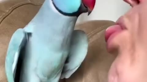 The most intelligent parrot of this world