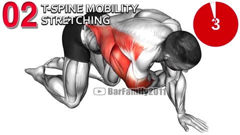 Strength and Mobility Exercises
