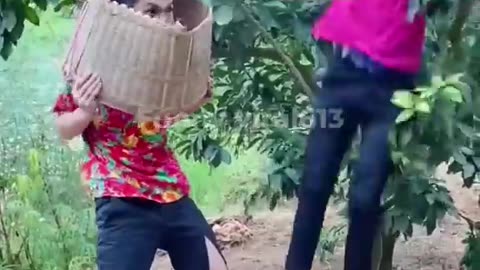 Best Funny Videos Compilation 2023 Try to Not Laugh😆😂🤣