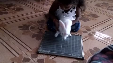 My baby girl dhruvanshi stady traning to 🐰 rabbit