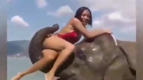 Elephant kicks sexy girl - #shorts