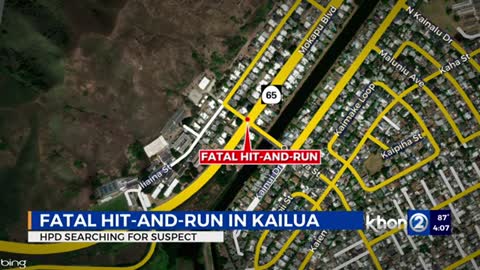 Kailua hit and run leaves 1 pedestrian dead