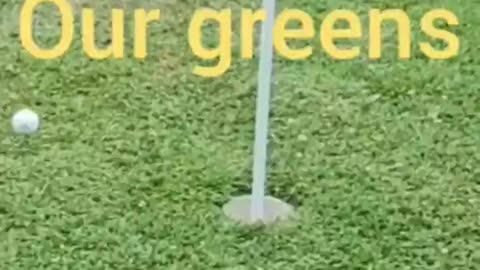Backyard Golf Green VS Country Club Greens