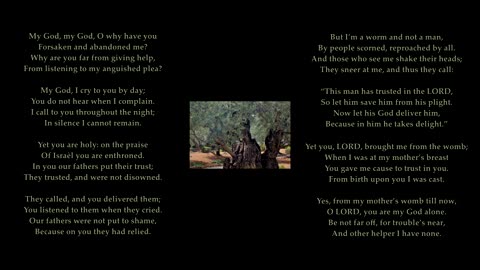 Psalm 22 v1-8 & 12-20 & 22-25 & 28-31 of 31 "My God, my God, O why have you forsaken & abandoned me?