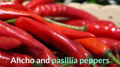 Hottest Among the Hottest All About Peppers