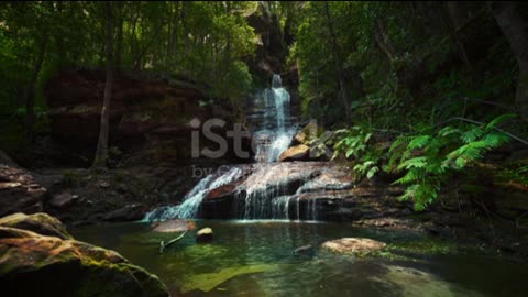 "Tiny Oasis: Peaceful Moments with Nature"