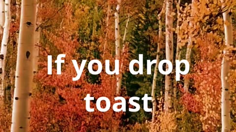 when you drop toast