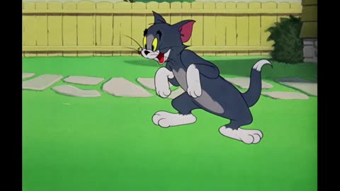 Tom & Jerry | Classic Cartoon Compil44