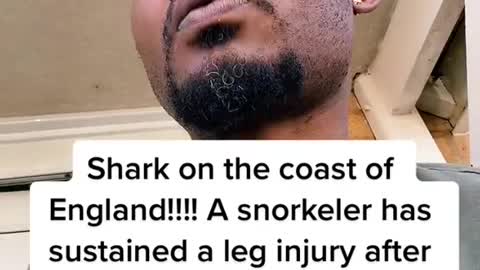 Shark on the coast of England!!!! A snorkeler has sustained a leg iniury after