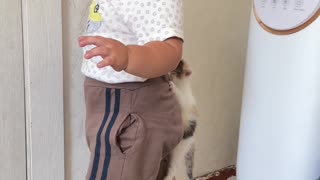 Kitten Clings To Boy