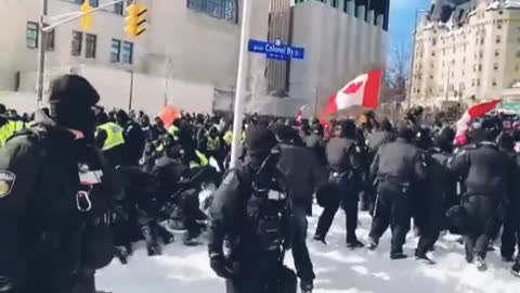 Ottawa police arresting war veterans